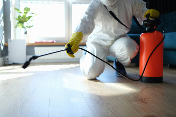 Reliable Odor Removal contractor in Reisterstown, MD by Trauma Clean Pros